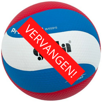 Gala Pro-line 5591S10 Dimple Volleybal